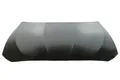 Produktbild: BLIC 6803-00-0067280AQ Bonnet for BMW