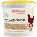 Produktbild: Supravit Kieselgur für Hühner 4kg | Kieselgur mineralisches Pulver Einstreu für Hühner | Diatomeenerde Pulver für Hühner & Geflügelstall