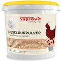 Produktbild: Supravit Kieselgur für Hühner 4kg | Kieselgur Pulver Einstreu für Hühnerstall | Diatomeenerde Pulver für Hühner & Geflügel | mineralischer Feuchtigkeitsbinder Stallstreu für trockene Stallhygiene