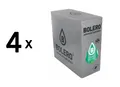 Produktbild: 4 x Bolero Classic (24x9g) Mint (49,76 EUR/kg)