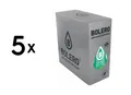 Produktbild: 5 x Bolero Classic (24x9g) Mint (50,88 EUR/kg)