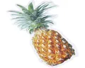 Produktbild: Antirutschsticker mySPOTTI stepon figürlich Happy Pineapple