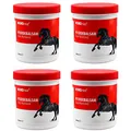 Produktbild: 4er Set Pferdebalsam 500ml Massagegel Wärmend Extra stark Massagegel Unterstützend bei Gelenkbeschwerden Rückenverspannungen und Muskelkater