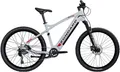 Produktbild: Zündapp E-Bike Mountainbike Z898, 10 Gang, Kettenschaltung, Heckmotor, 540 Wh, Pedelec, Elektrofahrrad für Damen u. Herren, MTB