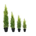 Produktbild: Kunstpflanze Zypresse, Leyland, EUROPALMS, Höhe 90 cm, verschiedene Größen erhältlich grün 90 cm