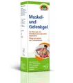 Produktbild: Sunlife Muskelgel und Gelenkgel 100ml