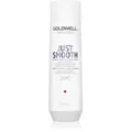 Produktbild: Goldwell Dualsenses Just Smooth glättendes Shampoo für widerspenstiges Haar 250 ml