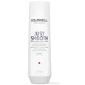 Produktbild: Goldwell Dualsenses Just Smooth Taming Shampoo 250ml