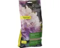 Produktbild: Rhododendrondünger Manna 1 kg 15 m²