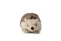 Produktbild: WWF Kuscheltier Plüschtier - Igel (hell, 18cm)