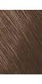 Produktbild: Goldwell Haarfarbe Goldwell Topchic New Grey Bus 7N@BP 250ml