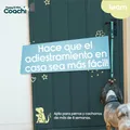Produktbild: Hundegeschirr Coachi