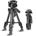 Produktbild: 62cm Kompaktes mini reisestativ Leichtes Stativ mit 3-Wege-Kopf und Tragetasc...