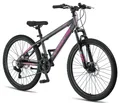 Produktbild: Licorne Bike Mountainbike Thunder