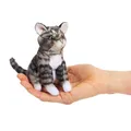 Produktbild: Folkmanis Fingerpuppe, klein, getigerte Katze, Grau/Schwarz/Weiß
