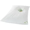 Produktbild: franknatur Federbettdecke Ballonbett 100% Federn 5,5kg, Füllung: 100% Gänsefedern, Bezug: 100% Baumwolle, Schwere voluminöse Winterbettdecke mit Federn weiß 155 cm x 220 cm