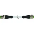 Produktbild: Murrelektronik 7000-40021-2140500 Sensor-/Aktor-Steckverbinder, konfektioniert M12 x 1 Stecker, gerade, Buchse, gerade 5.00m
