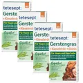 Produktbild: tetesept Gerstengras + Kieselerde + Biotin Tabletten, 4er Pack - Haarpflege mit Biotin, Zink, Selen & Kupfer - Vegan, Laktosefrei & Glutenfrei - Unterstützt gesundes Haar & natürliche Haarfarbe
