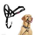 Produktbild: HALTI Kopfgeschirr - Verhindert, dass Ihr Hund an der Leine zieht, Einfache Anpassung, Leicht, mit gepolstertem Nasenriemen, Anti-Zug-Halsband für mittelgroße Hunde (Größe 3, Schwarz)