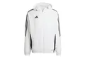 Produktbild: adidas Performance Regenjacke adidas Herren Windbreaker Tiro 24 WB