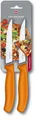 Produktbild: Victorinox Steakmesser Swiss Classic, Profi Steak- und Pizzamesser,orange