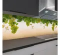 Produktbild: Rodnik Küchenrückwand Trauben, ABS-Kunststoff Platte Monolith in DELUXE Qualität mit Direktdruck