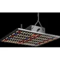 Produktbild: Caluma LED Grow Lampe Force 150 W, 38x38x7cm, 2,7 μmol/J, 405 μmol/s