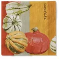 Produktbild: Sovie HORECA Serviette Britta in terrakotta aus Tissue 40 x 40 cm, 100 Stück - Struktur Kürbis Herbst