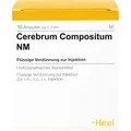 Produktbild: CEREBRUM COMPOSITUM NM Ampullen 10 St