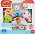 Produktbild: Mattel  Fisher-Price - Faultier Spielkissen mit Vibration und Sound #061