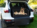 Produktbild: Hundebox Auto Kofferraumschutz Hund mit ladekantenschutz Kofferraum【Mit Tasche】 Kofferraum schutzmatte herausnehmbar - Hunde Autositz Wasserabweisend, hundetransportbox 80x55x38cm Schwarz