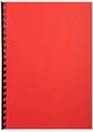 Produktbild: EXACOMPTA Thermo-Bindemappe Einbanddeckel Evercover A4 270g/qm Lederprägung VE=100 Stück rot, (