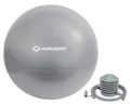 Produktbild: Schildkröt-Fitness Gymnastikball GYMNASTIKBALL 55cm, (silver)