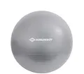 Produktbild: SCHILDKRÖT Gymnastikball Durchmesser: 550 mm silber