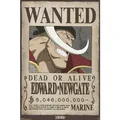 Produktbild: GB eye ABYSTYLE Poster One Piece Wanted Whitebeard 61x91,5cm