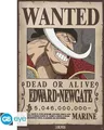 Produktbild: Gadget -D- One Piece - Poster Maxi 91.5X61 - Wanted Whitebeard Gb Eye
