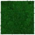 Produktbild: Jangal Akustikpaneel Modular Wall System Moos, Grün, Naturmaterialien, 52x52x4 cm, Handmade Quality, Tapeten & Wandverkleidungen, Akustikpaneele