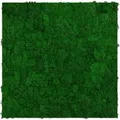 Produktbild: Jangal Wandpaneel Modular Wall Nature Green Moos 52 x 52 cm