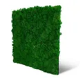 Produktbild: JANGAL Modular Wall Nature Moos Paneel (52 x 52 cm), Modulares Wandpaneel, mit recyceltem PET-Filz, zum Kleben oder Schrauben, Wandverkleidung, Wand Deko, Mooswand (Nature Green Moos)