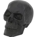 Produktbild: Europalms Totenschädel, schwarz (1 Stk.) (83314218)