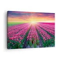 Produktbild: Bilder auf Leinwand Wiese Tulpen Sonnenuntergang Frühling Leinwandbild 70x50cm Wandbilder Dekoration Wohnzimmer Schlafzimmer Deko Klein Wanddeko Bild Wand Kunstdruck Art Wall Decor Canvas AA70x50-2841