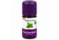 Produktbild: TAOASIS GmbH Natur Duft Manufaktur Duftöl TAOASIS PFEFFERMINZE Öl Bio 5ml PZN 04523901