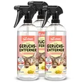 Produktbild: bio-chem Katzen Geruchsentferner Spray 3x 750 ml | Enzymreiniger mit Mikroorganismen | Gegen Katzenurin auf Sofa, Teppich & Polster | Probiotisch | Made in Germany