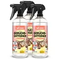 Produktbild: bio-chem Geruchsentferner Katzenurin Spray 3X 750 ml Enzymreiniger