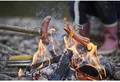 Produktbild: Haba Spielzeug-Gartenset Terra Kids Grillspieß-Aufsatz für Kinder Survival dinner 2013841001
