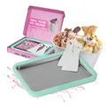 Produktbild: STONELINE by Mr. Ice Cream Rolls ORIGINAL Ice Cream Rolls Maker Eisplatte Mint 26x21x3,5 cm mit 2 Spateln für Hausgemachte Eiscreme Speiseeis DIY Eisrollen Edelstahlplatte Eis Maschine Sorbet Joghurt