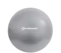 Produktbild: SCHILDKRÖT Gymnastikball Durchmesser: 650 mm silber