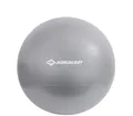 Produktbild: SCHILDKRÖT Gymnastikball, Durchmesser: 650 mm, silber