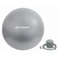 Produktbild: Schildkröt Fitness - GYMNASTIKBALL 65cm, (silver)