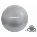 Produktbild: Schildkröt Fitness - GYMNASTIKBALL 65cm, (silver)